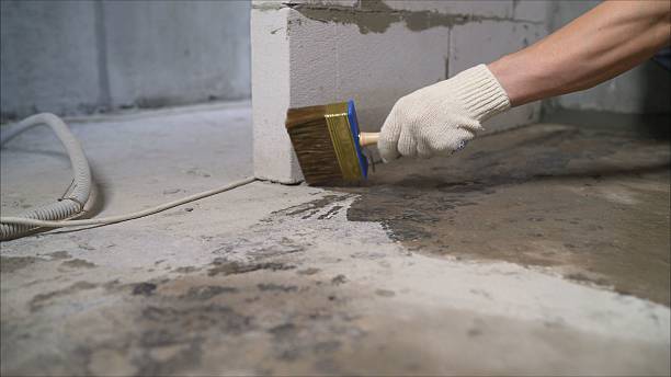 SJ Waterproofing Pros Sump Pump Installation coverage map for Mount Morris, MI and surrounding area